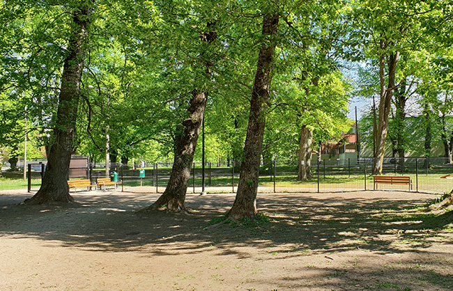 Tähtvere koertepark